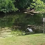 Havre De Paix Ancien Moulin Au Bord De La Dronne Hébergement de vacances Grand Brassac